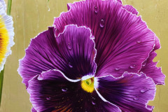 pintura-Amor-Perfeito-oleo-sobre-tela-60-x-80-cm-Elton-Brunetti-08
