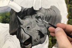 Pintura-Tiranossauro-e-Triceratops-por-Elton-Brunetti-03