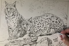 Pintura-de-linces-Elton-Brunetti-02