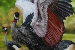 grou-coroado-africano-oleo-sobre-tela-painel-70-x-100-cm-Elton-Brunetti-02