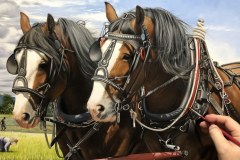 Pintura-cavalos-Clydesdales-arando-a-terra-por-Elton-Brunetti-3