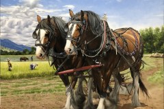 Pintura-cavalos-Clydesdales-arando-a-terra-por-Elton-Brunetti