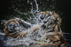 Tela-Tigres-na-agua-80x100-por-Elton-Brunetti-01