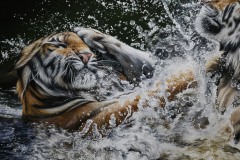 Tela-Tigres-na-agua-80x100-por-Elton-Brunetti-07