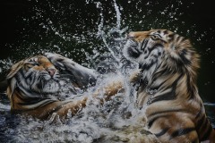 Tela-Tigres-na-agua-80x100-por-Elton-Brunetti-08