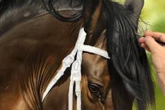 pintura-de-cavalo-por-elton-btunetti-4