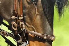 pintura-de-cavalo-por-elton-btunetti-6