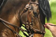 pintura-de-cavalo-por-elton-btunetti-9
