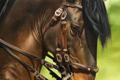 pintura-de-cavalo-por-elton-btunetti