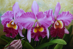 pintura-de-flor-orquidea-para-pintura-elton-brunetti-06