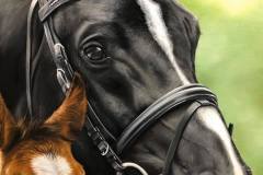pintura-de-cavalo-e-potro-por-elton-brunetti-2