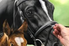 pintura-de-cavalo-e-potro-por-elton-brunetti-6