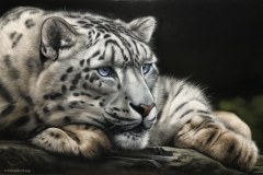 Pintura-tela-Leopardo-das-Neves-por-Elton-Brunetti