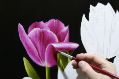 pintura-de-tulipas-por-elton-brunetti-01