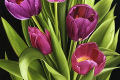 pintura-de-tulipas-por-elton-brunetti-04