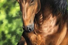 pintura-cavalo-galopando-na-agua-por-elton-brunetti-4