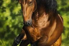 pintura-cavalo-galopando-na-agua-por-elton-brunetti-5