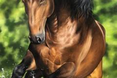 pintura-cavalo-galopando-na-agua-por-elton-brunetti-6