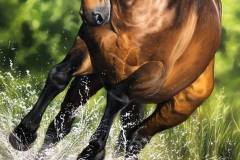 pintura-cavalo-galopando-na-agua-por-elton-brunetti-7