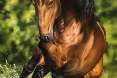 pintura-cavalo-galopando-na-agua-por-elton-brunetti