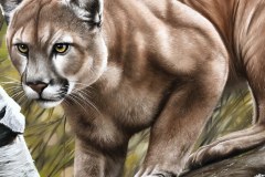 pintura-Puma-oleo-sobre-tela-70x100cm-por-Elton-Brunetti-05