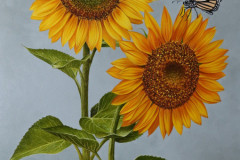 pintura-Girassois-oleo-sobre-tela-50-x-70-cm-por-Elton-Brunetti