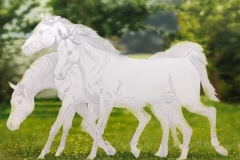 Pintura-de-cavalos-arabes-por-Elton-Brunetti-02
