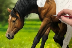Pintura-de-cavalos-arabes-por-Elton-Brunetti-05