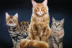 2_quadro-gatos-60x80-cm-Elton-Brunetti