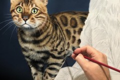 quadro-gatos-60x80-cm-Elton-Brunetti-Detalhes-2
