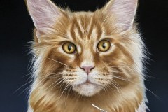 quadro-gatos-60x80-cm-Elton-Brunetti-Detalhes-3