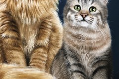 quadro-gatos-60x80-cm-Elton-Brunetti-Detalhes-4