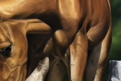 pintura-de-um-cavalo-com-cachorro-por-Elton-Brunetti-02