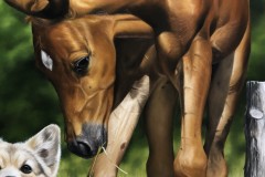 pintura-de-um-cavalo-com-cachorro-por-Elton-Brunetti-03