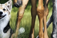 pintura-de-um-cavalo-com-cachorro-por-Elton-Brunetti-04