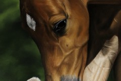 pintura-de-um-cavalo-com-cachorro-por-Elton-Brunetti-10