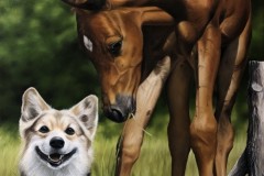 pintura-de-um-cavalo-com-cachorro-por-Elton-Brunetti