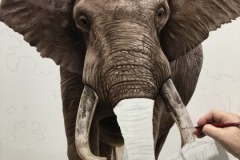 pintura-de-leao-com-elefante-por-Elton-Brunetti-01