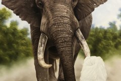 pintura-de-leao-com-elefante-por-Elton-Brunetti-03