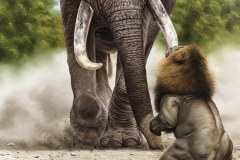pintura-de-leao-com-elefante-por-Elton-Brunetti-05