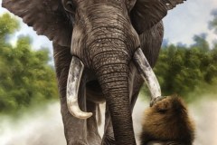 pintura-de-leao-com-elefante-por-Elton-Brunetti
