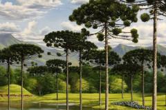 pintura-de-Araucarias-oleo-sobre-tela-60-x-80cm-06