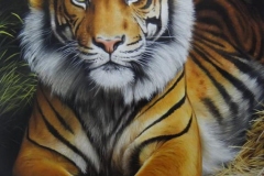 curso-de-pintura-elton-brunetti-tela-iniciados-26