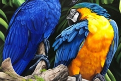 curso-de-pintura-elton-brunetti-tela-iniciados-27