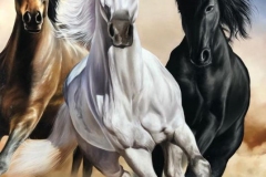 curso-de-pintura-elton-brunetti-tela-iniciados-29