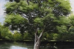 curso-de-pintura-elton-brunetti-tela-iniciantes-03