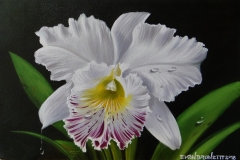 curso-de-pintura-elton-brunetti-tela-iniciantes-04