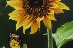 curso-de-pintura-elton-brunetti-tela-iniciantes-06