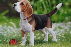 curso-de-pintura-elton-brunetti-tela-iniciantes-13