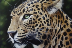 curso-de-pintura-elton-brunetti-tela-iniciantes-16